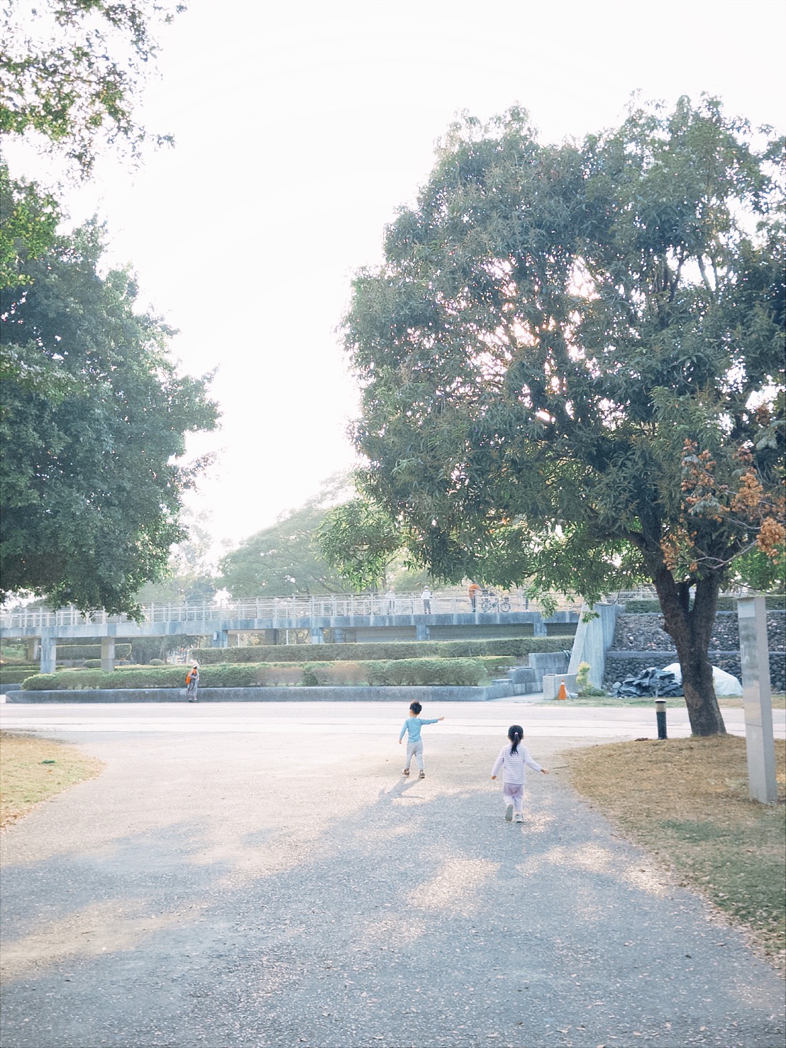 Warm Sunlight on Wooden Table